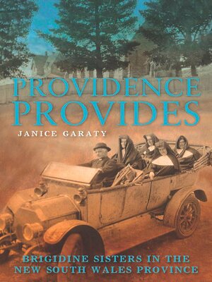 cover image of Providence Provides